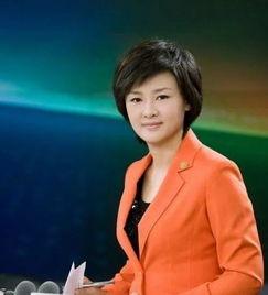 杨岚主持人老公,揭秘她幸福背后的神秘老公