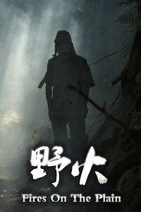 日本野火磁力,神秘现象背后的科学奥秘