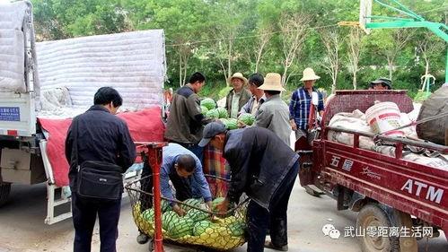 吃瓜群众免费吃瓜村,揭秘吃瓜群众的狂欢盛宴