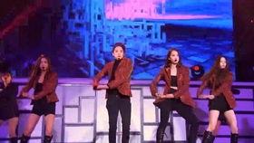 2016年日本演唱会,璀璨星光下的音乐盛宴