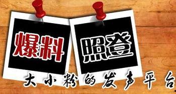 新闻大爆料小号叫什么,揭秘真相背后的神秘力量