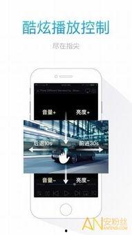 牛牛射视频,揭秘短视频背后的创意与魅力