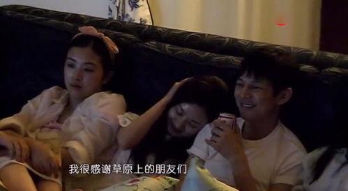 明星看电视的吗,揭秘娱乐圈的“电视迷”