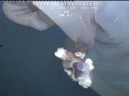 深海幕后爆料视频,幕后爆料视频深度解析