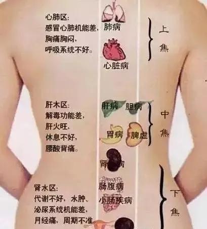 背部护理手法视频