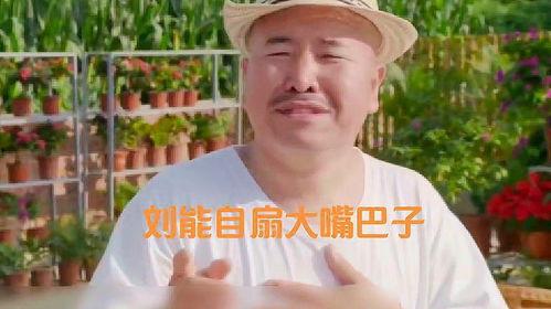 乡村爱情八免费观看下,重温经典，笑对人生