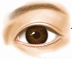 哪个明星双眼皮最宽,揭秘最宽双眼皮明星