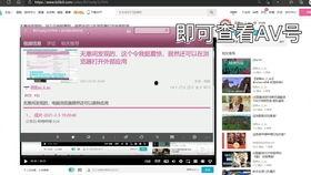 av123网址,探索神秘视频网站的奥秘与魅力