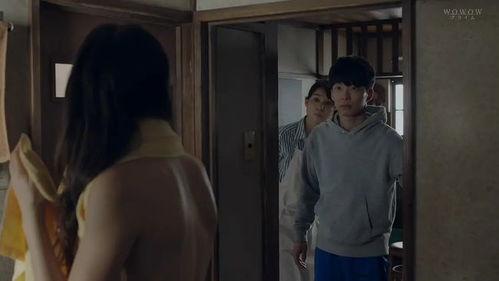 合租屋在线观看,揭秘现代都市生活下的邻里情谊与冲突