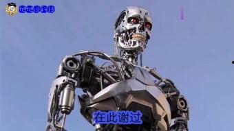 机器人.AV,未来娱乐新趋势解析