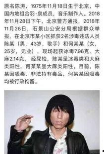 封吸毒明星,揭开娱乐圈的隐秘面纱